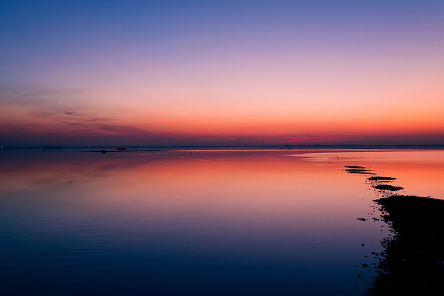 Laguna